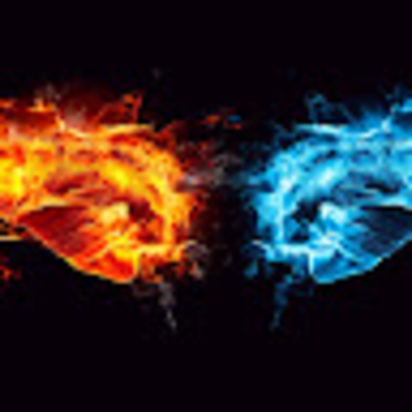 Meet your Posher, Trent - Picture 1 of 1